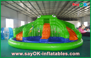 Wet Dry Inflatable Slide Giant Inflatable Bouncer Slide For Poor , Adult Kids Frog Bouncy Castle