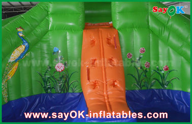 Inflatable Bounce House With Slide Pvc Summer Inflatable Bouncer Slide Outside Frog Water Slide With Print
