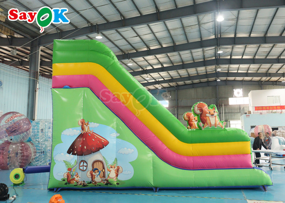 Commercial Grade Inflatable Water Slide Custom Rainbow Inflatable Slide