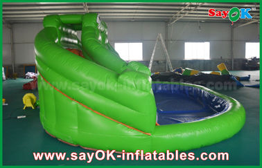 Inflatable Bounce Slide Giant Inflatable Bouncer Slide For Poor , Adult Kids Frog Bouncy Castle