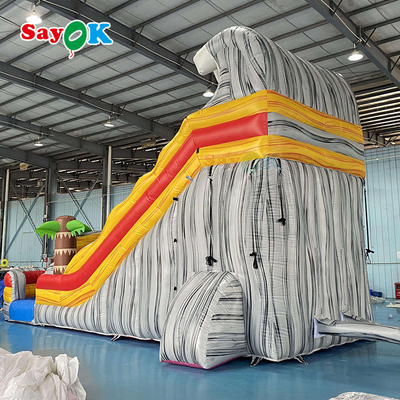 Wet Dry Inflatable Slide Fire Retardant Inflatable Bouncer Slide 9x3.4x5.5m For Playground