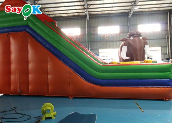 Inflatable Water Slide Clearance Anti UV Water Resistant Big Inflatable Bouncer Slide For Playground