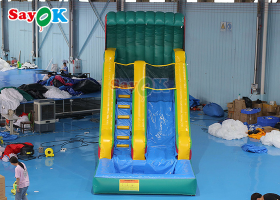 Wet Dry Inflatable Slide Anti Ruptured Commercial Inflatable Water Slide Pool Two PVC Coated Sides