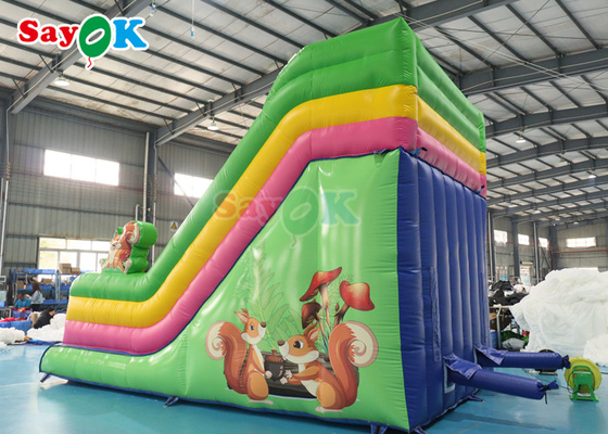 Commercial Grade Inflatable Water Slide Custom Rainbow Inflatable Slide