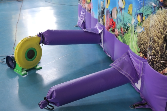 Custom-Printed Inflatable Dry Slide with Bouncy Castle Design for Kids Events