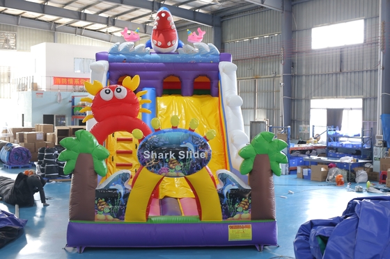 Custom-Printed Inflatable Dry Slide with Bouncy Castle Design for Kids Events