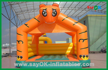 Animal Shape Inflatable Bounce