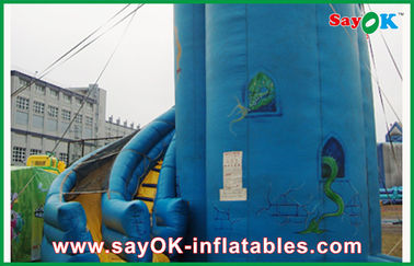 Toddler Bounce House Customized Blue PVC Inflatable Bounce House / Inflatable Slide