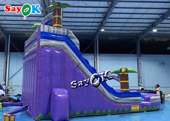 Wet Dry Inflatable Slide Clearance Two Lanes Big Tropical Palm Tree Inflatable Water Slide With Splash Pool