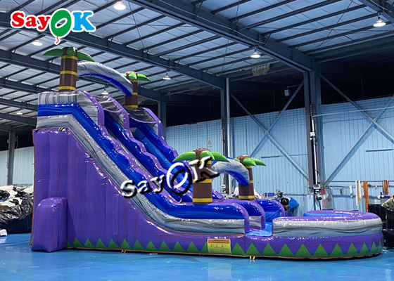Wet Dry Inflatable Slide Clearance Two Lanes Big Tropical Palm Tree Inflatable Water Slide With Splash Pool