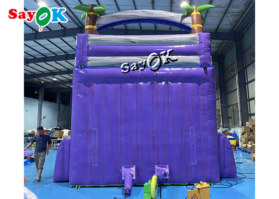 Wet Dry Inflatable Slide Clearance Two Lanes Big Tropical Palm Tree Inflatable Water Slide With Splash Pool