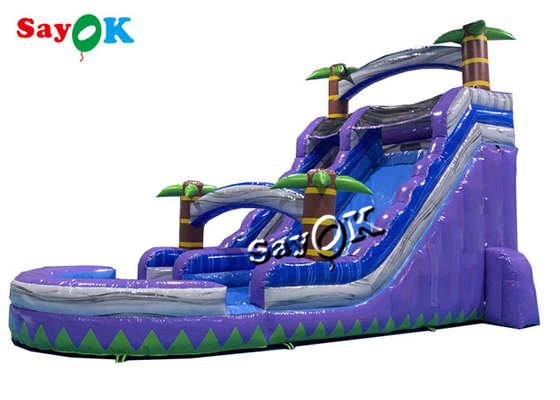 Wet Dry Inflatable Slide Clearance Two Lanes Big Tropical Palm Tree Inflatable Water Slide With Splash Pool