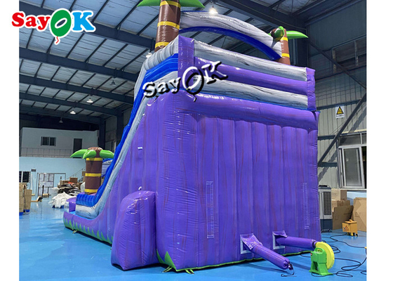 Wet Dry Inflatable Slide Clearance Two Lanes Big Tropical Palm Tree Inflatable Water Slide With Splash Pool