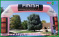 Pink Color Inflatable Finish Inflatable Arch With Logo Printing