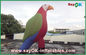 Parrot Character Inflatable Air Dancer / Sky Dancer Advertising Inflatable Mascots