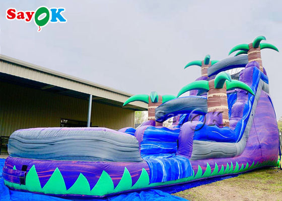 Commercial Inflatable Slide Water Park Purple Crush Dual Lane Inflatable Water Slide
